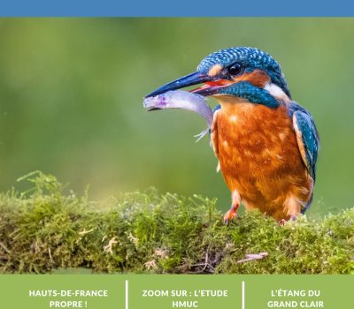 Sensée Mag N°4 Nov 2025